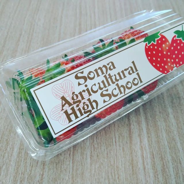 福島県立相馬農業高等学校様にて、よつぼし、ベリーポップの栽培をしていただいております。
本日は、生徒さん向けのイチゴ勉強会！
#innovateforbeautyandtaste 
#ベリーポップ 
#よつぼし