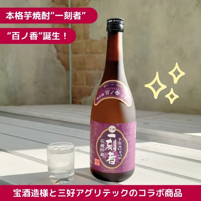 本格芋焼酎”一刻者”シリーズに、宝酒造様と当社で共同育種したさつまいも”百ノ香（ひゃくのかおり）”を使った焼酎誕生✨
＊この商品は宝酒造様の2023年甕オーナー企画で販売された商品で現在、購入することはできません

紫芋と橙芋を掛け合わせて開発した”百ノ香”。名前の通り、香りが華々しい、格別な焼酎です🌸

さっそく”百ノ香”焼酎をいただきました！

部長（芋焼酎歴30年）コメント
「まさに百ノ香。バランスのとれた様々な香を味わうことが出来ます。サツマイモの甘さ、柑橘系の香りからバニラ、ケーキ、チョコレートのような味と香りが素晴らしいです。私にも「推し」と言えるものができました😀」

職業柄なのでしょうか、当社営業部は芋焼酎派が多いです。開発したおいもがこのようなステキな焼酎になるなんて、まさに夢のようです✨

#一刻者#いっこもん#宝酒造#本格焼酎#芋焼酎#全量芋#芋麹#黒壁蔵#百ノ香#ひゃくのかおり
#さつまいも #サツマイモ #三好アグリテック #さつまいも愛 #さつまいも農家 #さつまいも好きと繋がりたい #japanesesweetpotato