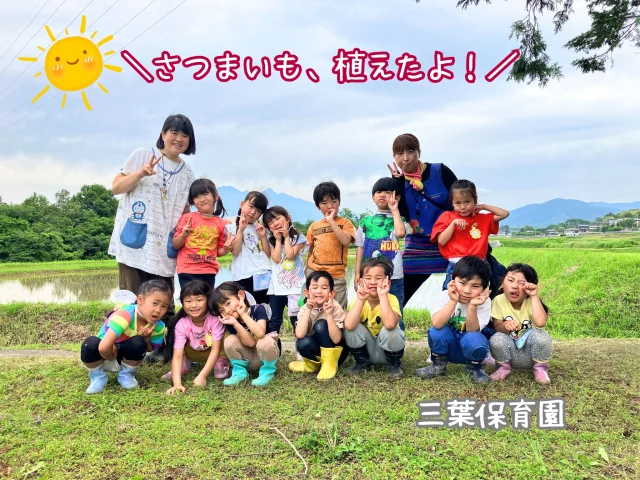 今年もたのしい、さつまいものツル植え🍠
みんなの願いもかなって、お天気もちこたえました🌞

さつまいもの種類は、昨年も植えたオレンジ色のおいも”ハロウィンスウィート”に加え、今年はさらに1つ、白い皮の”きみまろこ”です。

しろいおイモ？おいしいの？ 
秋の収穫が待ち遠しいです♪

 
#きみまろこ #まろこ #まろこちゃん #サツマイモ #ハロウィンスウィート
#さつまいも #さつまいも植え #三葉保育園 #三好アグリテック