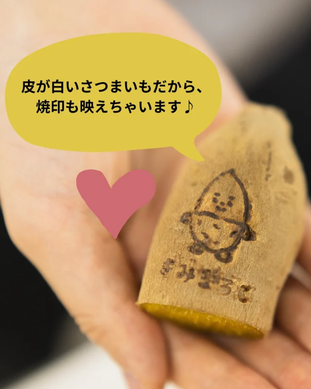 焼印きみまろこ🍠

白い皮のさつまいもだからこその楽しみ方✌✨
まろこを焼印してみました💛さつまいもを見てこんなにときめく日がくるなんて..♪

最近は1年中焼き芋を販売しているスーパーも増えました！暑いし焼き芋は、、という方におすすめなのが、”冷やし焼き芋”です！

夏だとアイスについ手が伸びがちになりますが、冷やし焼き芋なら食べ応えバツグン、栄養満点でギルトフリーです♪

暑い夏、しっかり栄養取っておいしく乗り切りましょう🌻👒✨

#きみまろこ #まろこ #まろこちゃん #さつまいも #サツマイモ #三好アグリテック #焼き芋 #焼きいも #さつまいもレシピ #さつまいも愛 #さつまいも農家 #さつまいも好きと繋がりたい #japanesesweetpotato