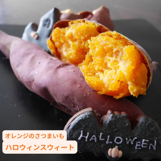 ハッピーハロウィン👻🌟

ハロウィンにぴったりなさつまいも”ハロウィンスウィート”🍠ちょっぴり不思議なお芋です♪

🌙ハロウィンにぴったりなわけ
・かぼちゃのようなオレンジ色の果肉（味もほんのりかぼちゃ..？！）
・通常のおいもより生育がはやく、収穫・貯蔵でハロウィンの時期にちょうどおいしく食べられる

カロテンは通常のおいものなんと、”100倍”！✨ねっとり甘く、おいしく楽しみながら美容にもよいおいもです✌見かけたらぜひ手に取ってみてくださいね！

#ハロウィンスウィート #ハロウィン #さつまいも #サツマイモ #三好アグリテック #焼き芋 #焼きいも #さつまいもレシピ #さつまいも愛 #さつまいも農家 #さつまいも好きと繋がりたい #japanesesweetpotato