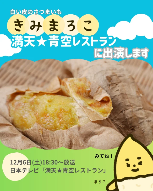 『満天★青空レストラン』に、「きみまろこ」が登場します！🍠
宮川大輔さんが、埼玉県のさつまいも農家さんを直撃！💨

白い皮の中には、まろやか甘い黄色のお芋✨
定番の焼き芋はもちろん、きみまろこを使った「絶品レシピ」も紹介されるみたいです🍽️

ぜひご覧ください🌟

📅 放送日時：12月6日(土) 18:30～
日本テレビ「満天★青空レストラン」

#満天青空レストラン #青空レストラン #宮川大輔 #うまーい #きみまろこ #まろこ #三好アグリテック #さつまいも #焼き芋 #サツマイモ #さつまいも好きと繋がりたい