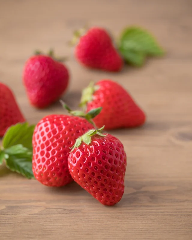 ぽかぽかと暖かい日が増えて、春が近づいてきました🌸
スーパーにも美味しいイチゴがたくさん並ぶ季節になりました🍓✨

ツヤツヤで真っ赤なイチゴは、見ているだけでも気分が上がります！
甘い香りに包まれながら、旬の味覚をたっぷり楽しみたいと思います😋
皆さんはもう、今年のイチゴはたくさん食べましたか？

#イチゴ #いちご #苺 #春の訪れ #旬のフルーツ #フルーツ好き #おうちカフェ #春スイーツ  #日常のひとこま #季節を楽しむ #strawberry